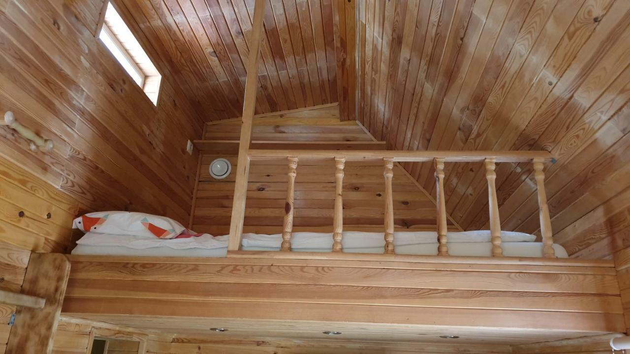 Jurmala'S Center Eco House Villa ภายนอก รูปภาพ